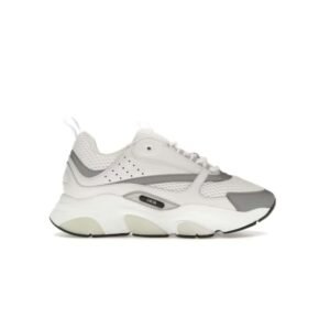 Dior B22 White Silver